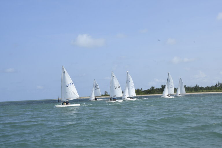 DSC1595-768×512 (1)