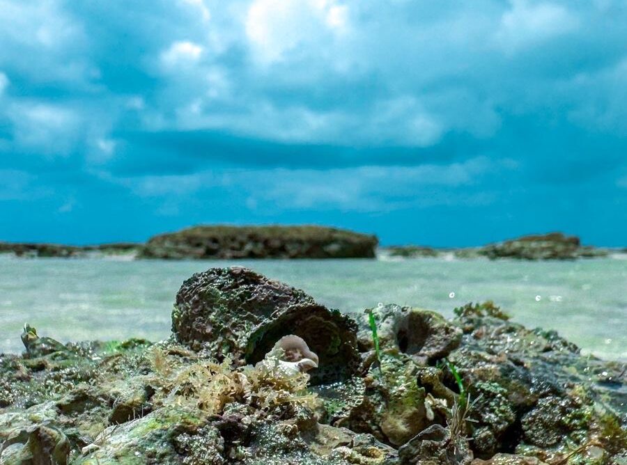 28d091ac-c01f-49a0-9822-159c2f13349f