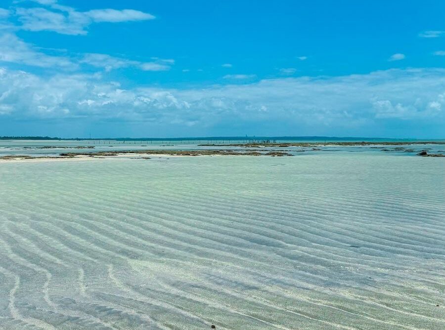 4db5f6d4-52fd-4373-a502-4138e15801be