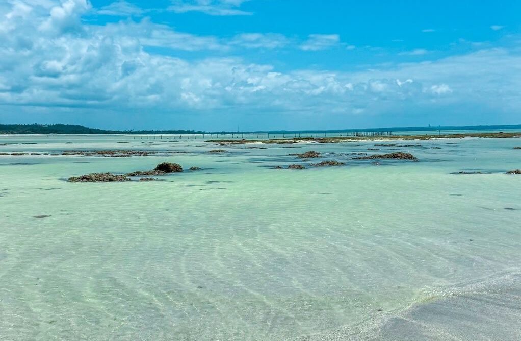 d117ca24-d76f-4154-b1e7-82379a5d5533