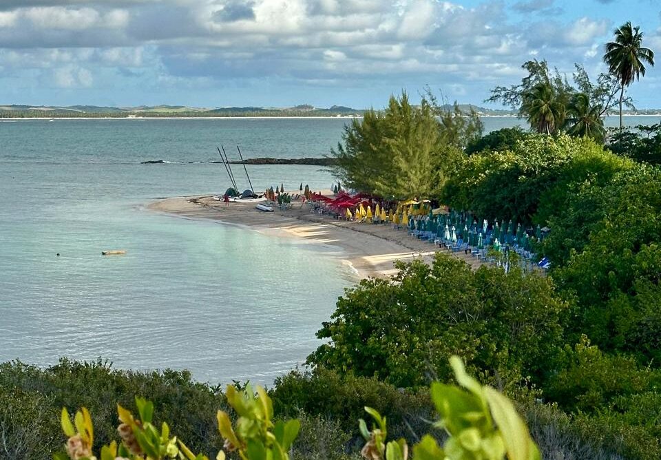 PHOTO-2025-12-29-06-54-00