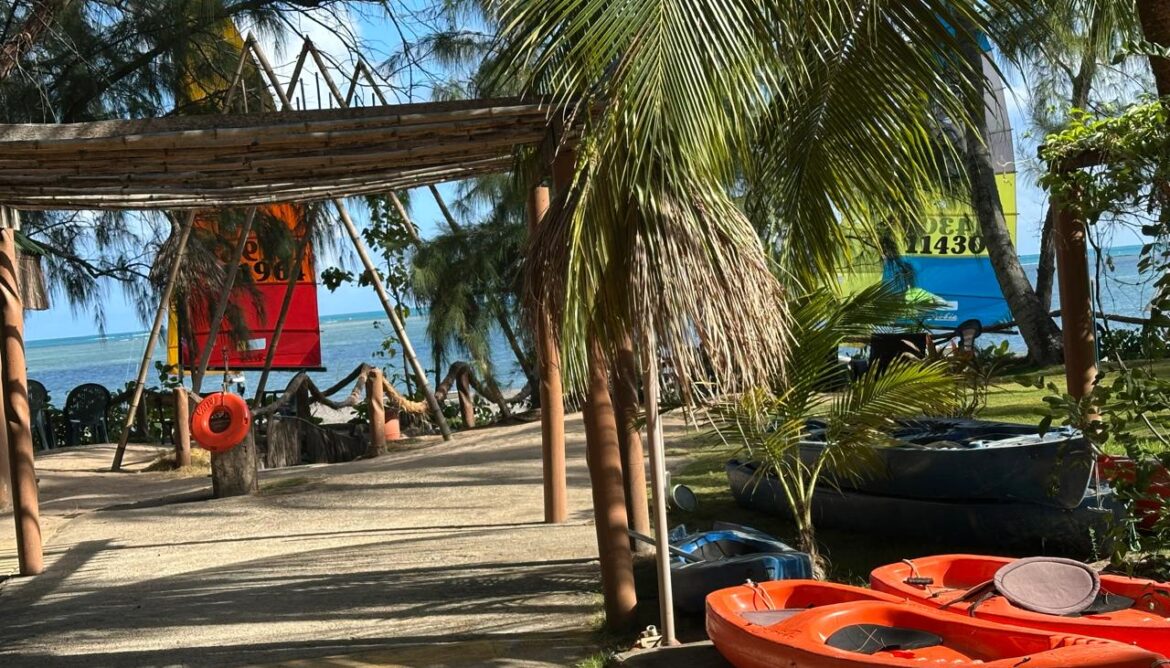 PHOTO-2025-12-29-06-58-23